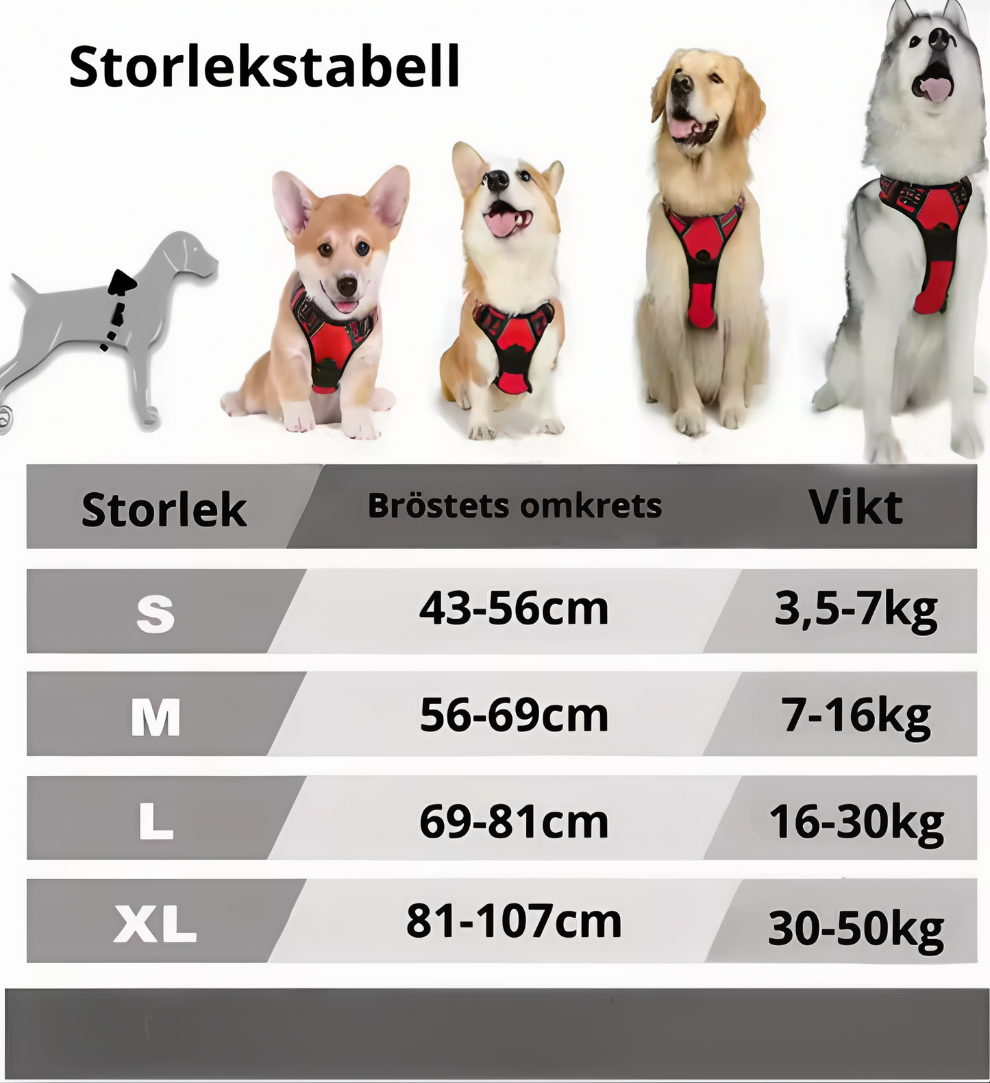 Sele med reflexdetaljer