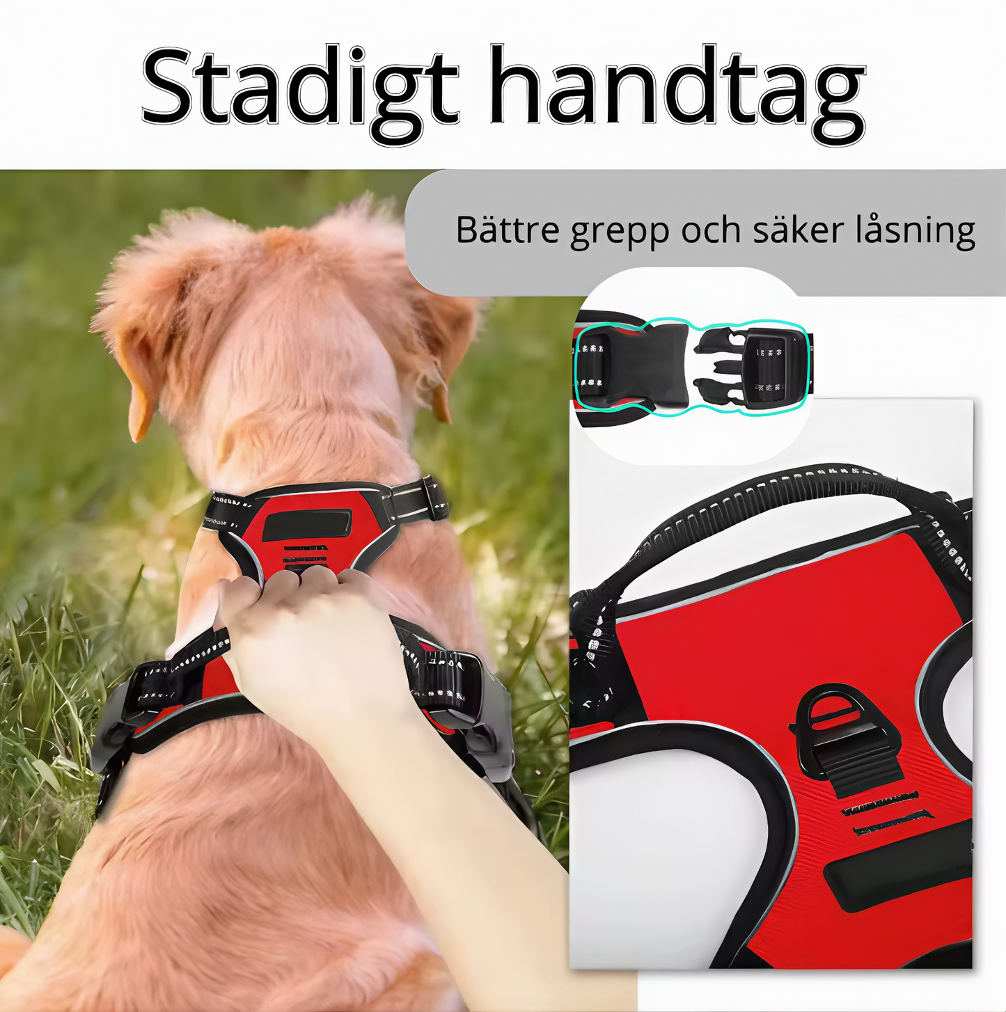 Sele med reflexdetaljer