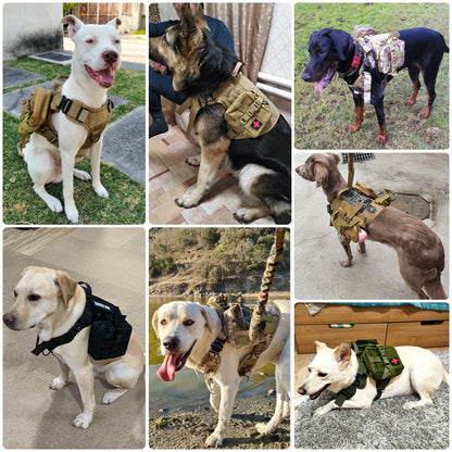 Militär hundsele K9 koppelset.