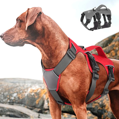 Justerbar hundsele i nylon för små, medelstora och stora hundar.