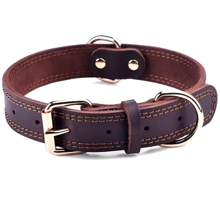 Hundhalsband i Äkta Läder