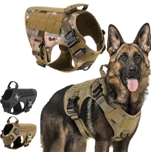 Militär hundsele K9 koppelset.
