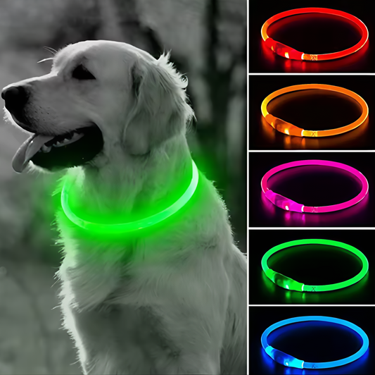 LED halsband Luminöst