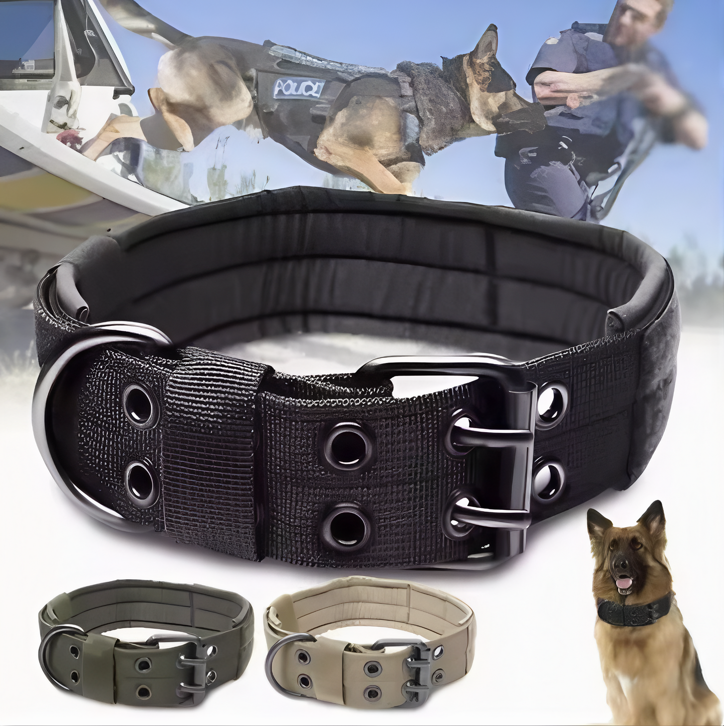 Hundhalsband robust