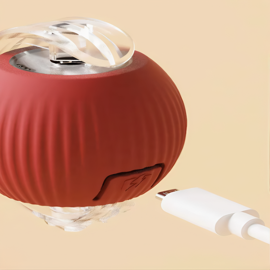 Uppladdningsbar leksaksboll