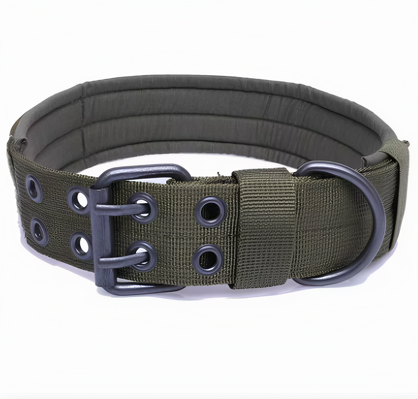 Hundhalsband robust