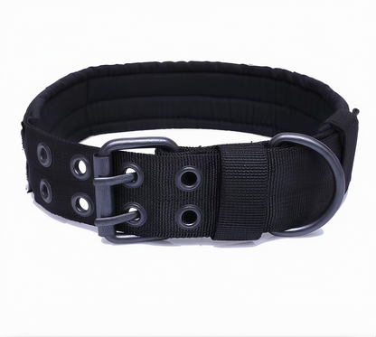 Hundhalsband robust