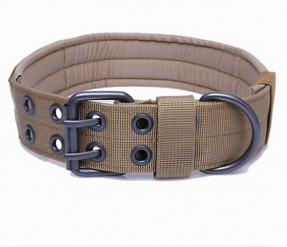 Hundhalsband robust