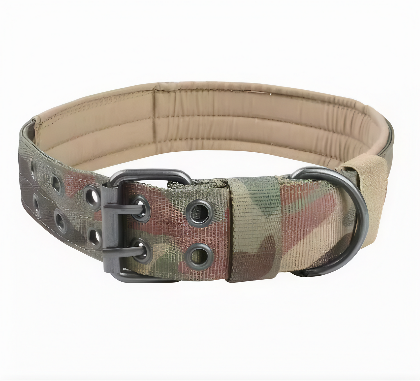 Hundhalsband robust