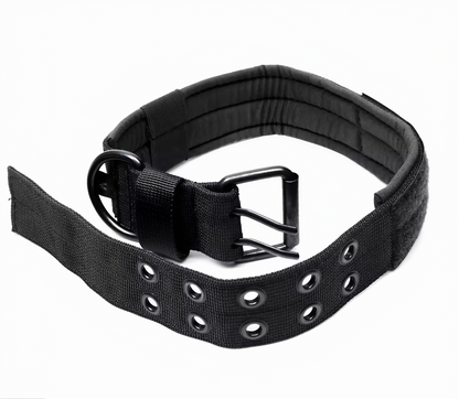 Hundhalsband robust