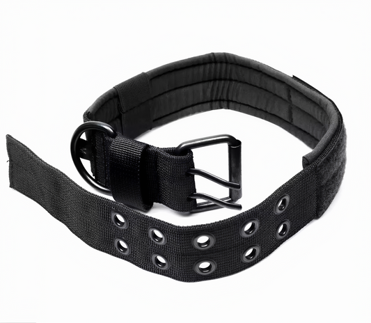 Hundhalsband robust